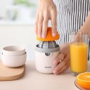 Citrus Press 5