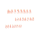 Classic French Manicure 24 pcs Artificial Nails Square Shape Glitter Effect Home Nail Art Elegant Look 2