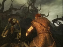 Clé CD Steam Risen PC 2