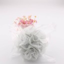 Cleaning Sponge with Loop 5