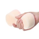Cleaning Sponge 2