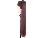 Clip In Ponytail 313 7