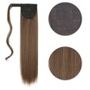 Clip in Ponytail 316 21