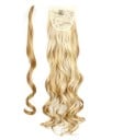Clip in queue de cheval J310 2