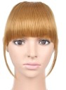 Clip In Straight Fringe 10