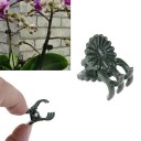Clip per orchidee 20 pz 4