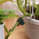 Clipes para orquídeas 100 unid 4