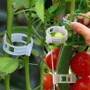 Clips para plantas 50 uds. 2