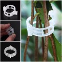 Clips para plantas 50 uds. 3