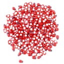 Coccinelles en bois autocollantes 100 pcs 1