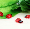 Coccinelles en bois autocollantes 100 pcs 3