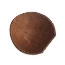 Coconut Reptile Hide 4