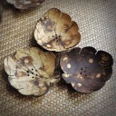 Coconut Wood Soap Dish 10