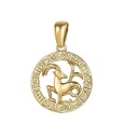 Colar signo do zodíaco D143 14