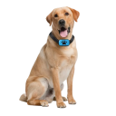 Colar vibratório anti-ladrar para cães USB recarregável Colar de treino ultrassónico com apito 7 níveis à prova de água Ajustável 22–56 cm 3