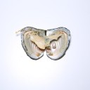 Collana da donna segno zodiacale 3