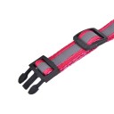 Collar colorido con cascabel para perros y gatos 6