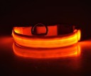 Collar luminoso LED para perros 9