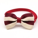 Collar with Bow Tie 50 pcs 3