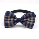 Collar with Bow Tie 50 pcs 5