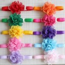 Collar with Flower 50 pcs 2