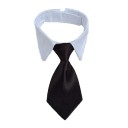 Collar with Tie 6