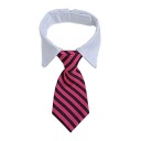 Collar with Tie 11