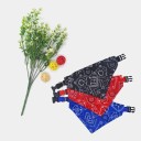 Collare con fazzoletto 2