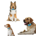 Collare Vibrante Antistress per Cani Ricaricabile tramite USB Impermeabile Collare da Addestramento con Segnale Acustico e Vibrazione Circonferenza Regolabile 22–56 cm 2