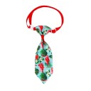 Collier avec cravate 10 pcs C845 1