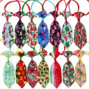 Collier avec cravate 10 pcs C845 2