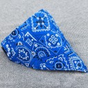 Collier avec foulard 7