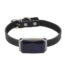 Collier avec localisateur GPS 1