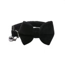 Collier en velours pour chats et petits chiens 1 x 28 cm Boucle de sécurité Nœud Cloche Réglable Collier décoratif 4
