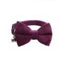 Collier en velours pour chats et petits chiens 1 x 28 cm Boucle de sécurité Nœud Cloche Réglable Collier décoratif 8