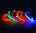 Collier LED lumineux pour chiens 2
