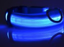 Collier LED lumineux pour chiens 4