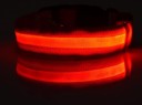 Collier LED lumineux pour chiens 5