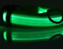 Collier LED lumineux pour chiens 7