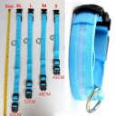 Collier LED lumineux pour chiens 13