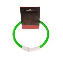 Collier lumineux pour chiens 12