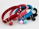 Collier pour chat avec grelot 1