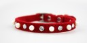 Collier pour chat avec grelot 4