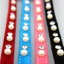 Collier pour chat avec grelot 5