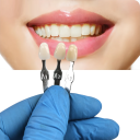 Colour Matching Plate for Tooth Models 16 Colours 68 x 150 mm Dental Tool for Shade Comparison of Dental Prosthetics 3