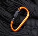 Colourful Carabiner with Ring Closure 3