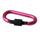 Colourful Carabiner with Ring Closure 6