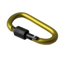 Colourful Carabiner with Ring Closure 7