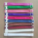 Colourful Dog Collars 100 pcs 4