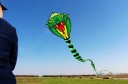Colourful Flying Kite in the Shape of a Snake 70 x 80 cm with an 8 m Long Tail Lightweight Polyester Outdoor Kite for Children and Adults 3
